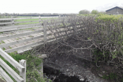 88. Sparkhayes Accommodation Bridge upstream face