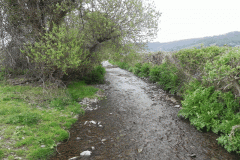 94. Upstream from South West Coastal Path Footbridge