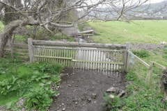 98. Looking upstream from South West Coastal Path Footbridge
