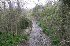 99. Looking upstream from South West Coastal Path Footbridge