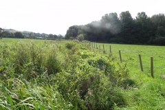 13. Downstream from  Muddymoor Copse