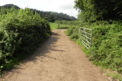 17. Binham Farm Accommodation Bridge