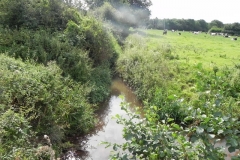 29. Flowing past Horse Parks