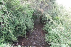 32. Flowing past Horse Parks