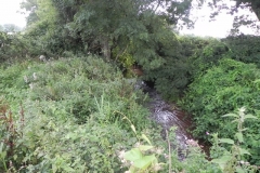 35. Flowing through Home Farm