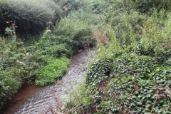 50. Flowing through Pill Copse Caravan Park