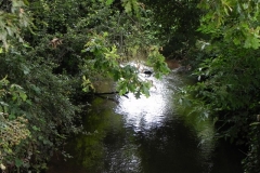 51. Flowing through Pill Copse Caravan Park