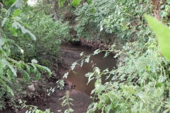52. Flowing through Pill Copse Caravan Park