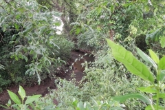 53. Flowing through Pill Copse Caravan Park
