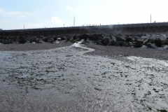 61. Pill River Outfall