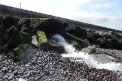 63. Pill River Outfall