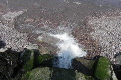 64. Pill River Outfall
