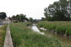 1.-Looking-upstream-to-Burrowbridge-3