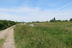 10.-Downstream-from-Millwood-Farm-1