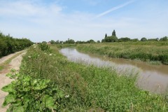 10.-Downstream-from-Millwood-Farm-2