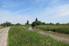 10.-Downstream-from-Millwood-Farm-4