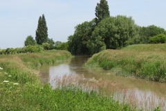 10.-Downstream-from-Millwood-Farm-5