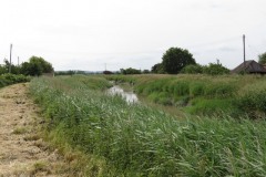 2.-Downstream-from-Burrowbridge-3