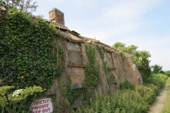 9.-Derelict-Cottage-by-River-Parrett-downstream-from-Millwood-Farm-1