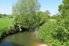 13.-Looking-downstream-from-Taunton-and-Chard-Railway-Bridge