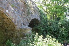 14.Taunton-and-Chard-Railway-Bridge-downstream-arches3