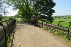 17.-Horse-and-rider-on-Taunton-and-Chard-Railway-Bridge