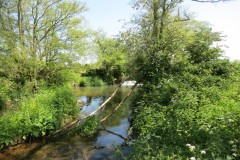 24.-Weir-downstream-from-join-with-Dowlish-Brook-2