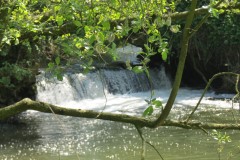 24.-Weir-downstream-from-join-with-Dowlish-Brook-3