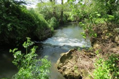 24.-Weir-downstream-from-join-with-Dowlish-Brook-4