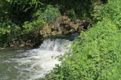 24.-Weir-downstream-from-join-with-Dowlish-Brook-6