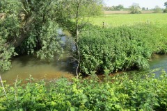 25.-Join-with-Dowlish-Brook-6
