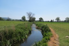 26.-Downstream-from-join-with-Dowlish-Brook-4