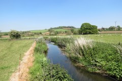 26.-Downstream-from-join-with-Dowlish-Brook-5