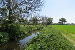 26.-Downstream-from-join-with-Dowlish-Brook-6
