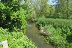 4.-Downstream-from-Donyatt-Bridge