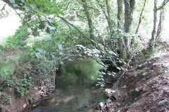 11.Downstream-from-ROW-Footbridge-3990