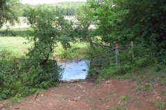 12.Cow-Crossing