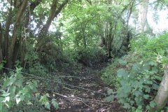 9.Old-Mill-Leat-Dulcote-Paper-Mill