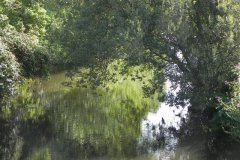 2.-Looking-upstream-from-River-House-Farm-Bridge