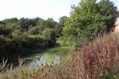 43.-Upstream-from-Highbridge-Rail-Bridge