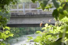 44.-Highbridge-Rail-Bridge-Upstream-Face