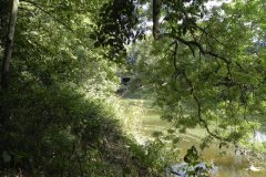 50.-Downstream-from-Highbridge-Rail-Bridge
