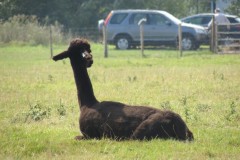 IMG_1080