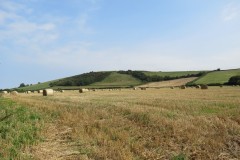 IMG_1135