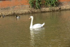 IMG_2005