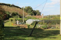 IMG_1386