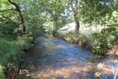 10. Upstream from Larcombe Foot (12)
