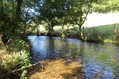 10. Upstream from Larcombe Foot (13)