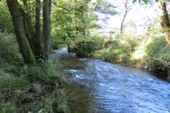 10. Upstream from Larcombe Foot (5)