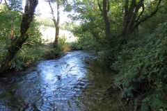 10. Upstream from Larcombe Foot (6)